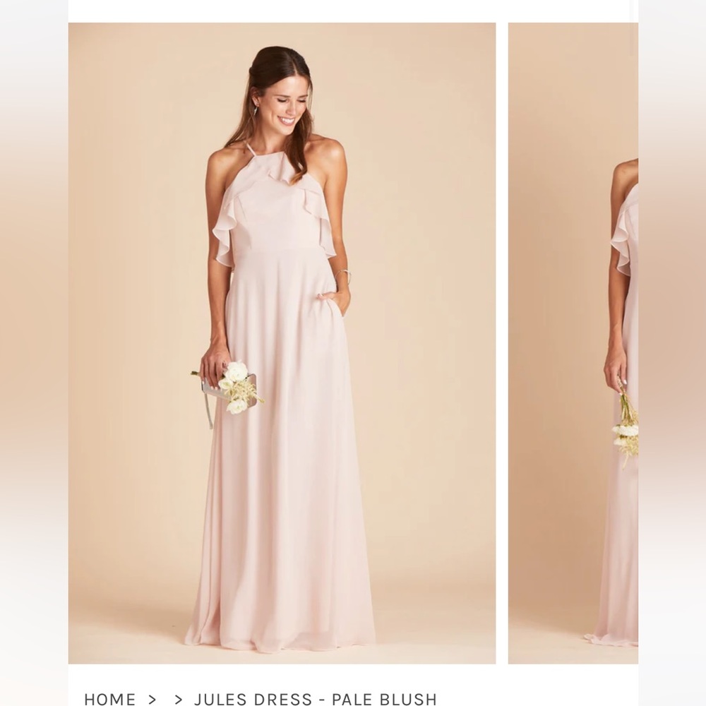 Birdy Grey Jules pale blush dress size M
